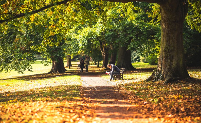 Autumn leaves at Royal Victoria Park